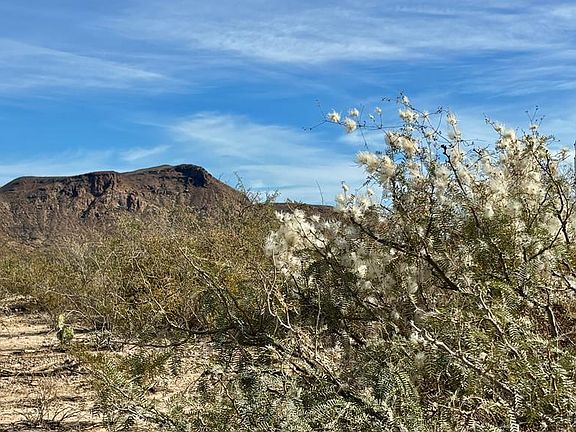 3rd image of 813 Terlingua Ranch Rd