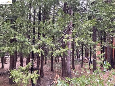 3471 Pocatello Cir, Camp Connell, CA, 95223