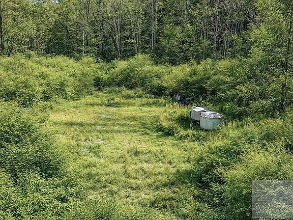 3rd image of 0 Brewsterdale Rd