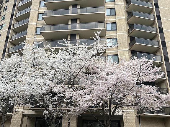 2nd image of 205 Yoakum Pkwy Unit 406