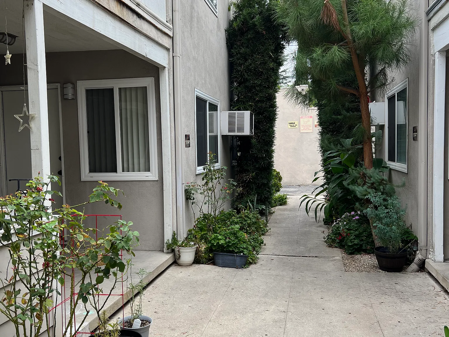 1 bed, 780 sqft, $1,750 — Photo 3