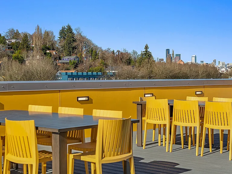 Rooftop Seating + View