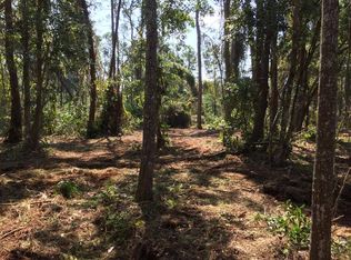 Dusty Ln, Palatka, FL 32177