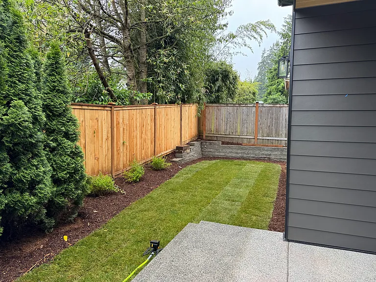 View of backyard.