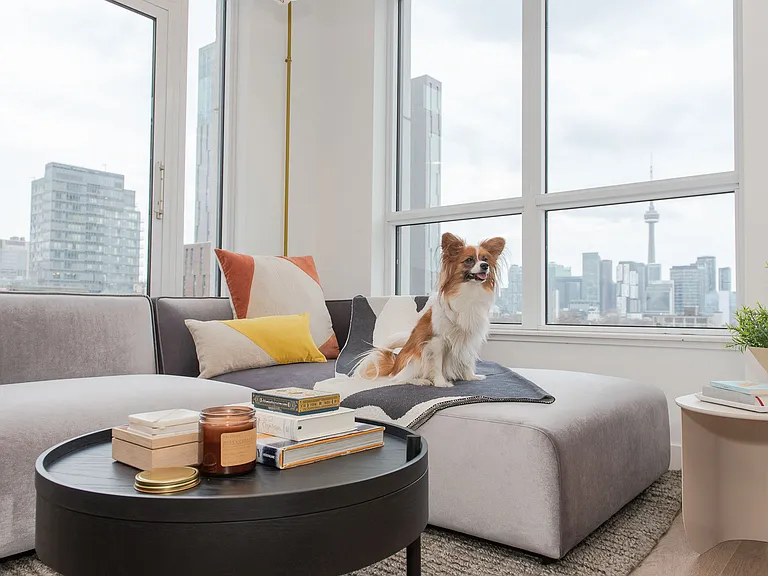 484 Spadina Ave — Photo 45