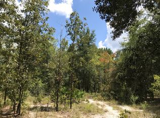 1400 NW 22nd Ct, Bell, FL 32619