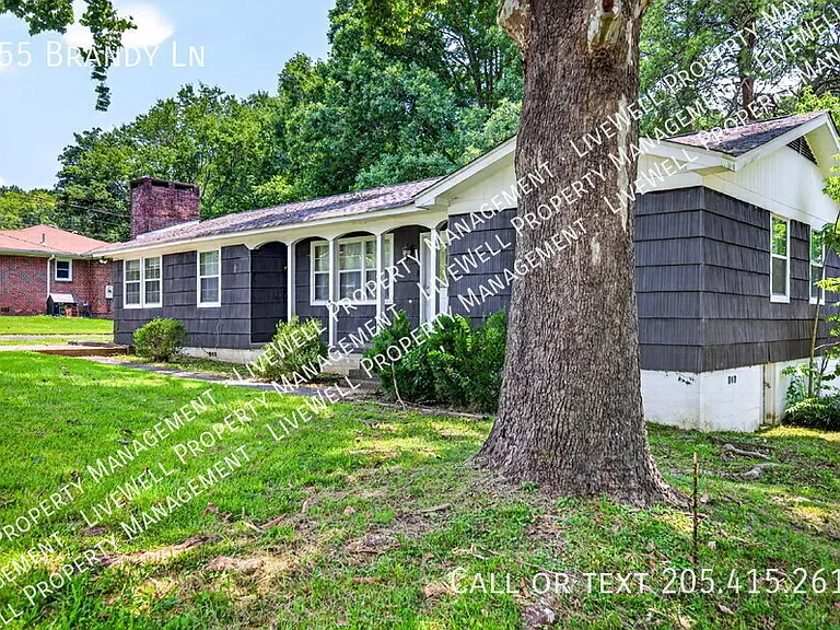 955 Brandy Ln — Photo 4