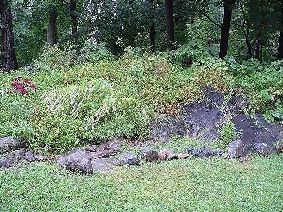 Rock Garden
