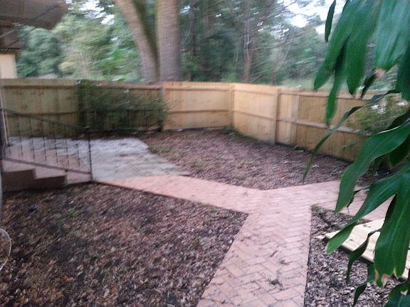 back yard