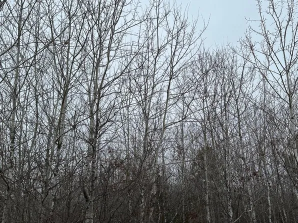 Wood Rd, Tomahawk, WI 54487