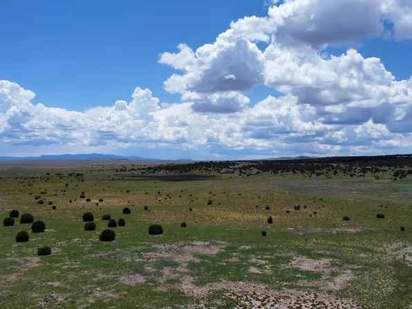 145 Quail Rd, Quemado, NM 87829