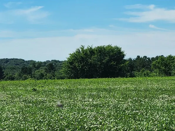 503 W NORTH ROAD, Cadott, WI 54727