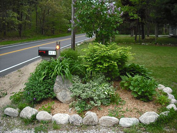 Flower Bed