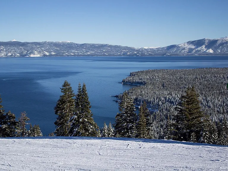 World Class Skiing all around. Homewood Ski Mountain is just 5 - 7 minutes down the road and has some of the best views you'll ever experience skiing!