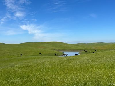 850 Highway 140 Highway, Catheys Valley, CA, 95306