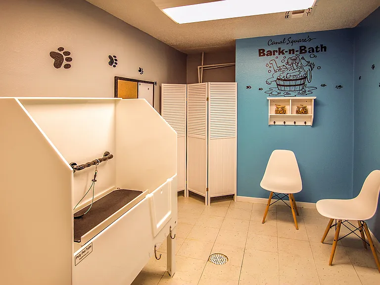 Pet Grooming Station