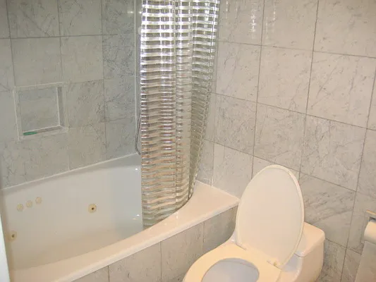 Rented by Furumoto Realty of New York City Inc | media 42