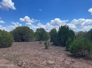 4 County Road 3331, Vernon, AZ 85940