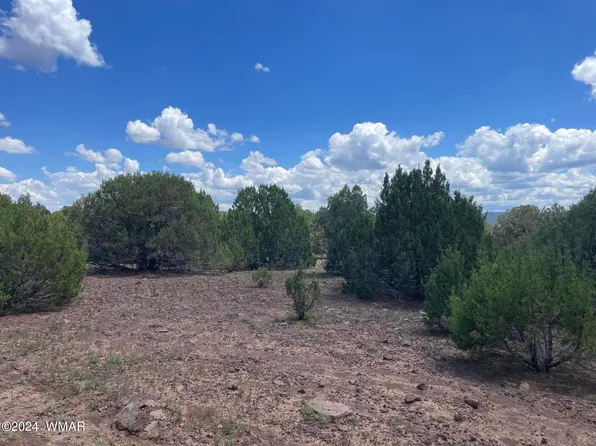 4 County Road 3331, Vernon, AZ 85940