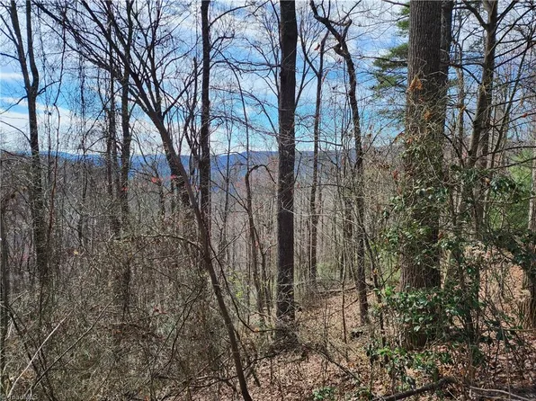 Deer Run Lot 36, Purlear, NC 28665