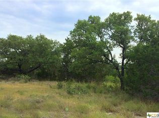 503 Rosinweed Dr, Spring Branch, TX 78070