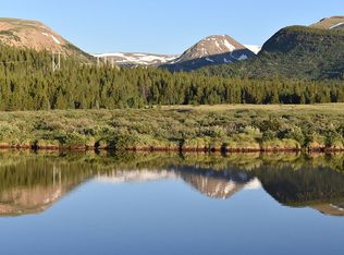 1342 County Road 12, Alma, CO 80420