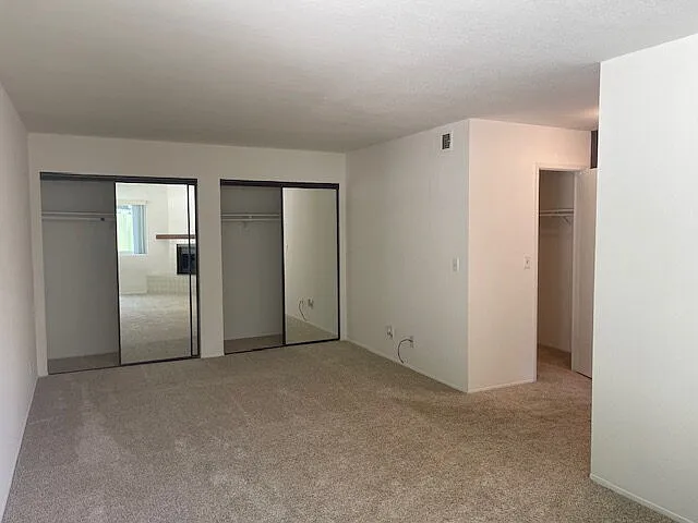 2806 Cacatua St #C — Photo 18