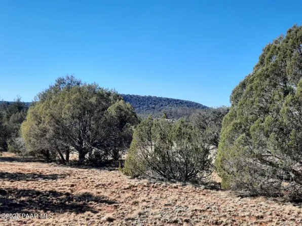 LOT 74 Forest Ln, Seligman, AZ 86337