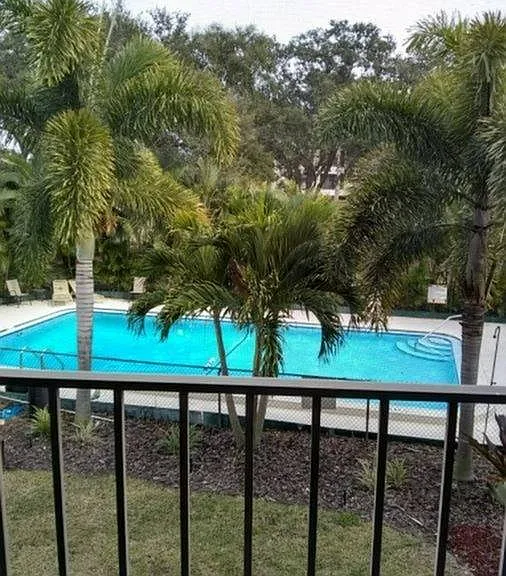 Pool and Sun Deck
