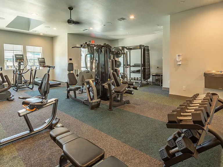 Village at Skyline Ranch — Photo 78