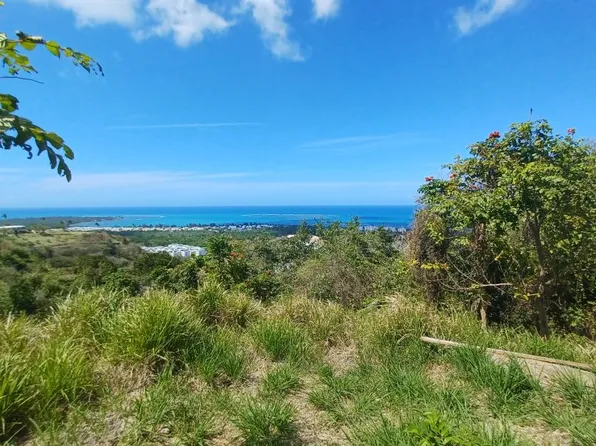 Las Coles Carr 968 1.5 #Km, Palmer, PR 00721