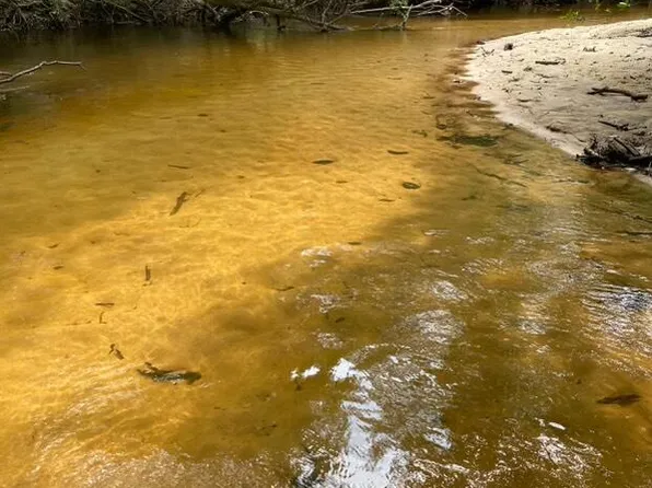 140 Big Creek Rd, Lucedale, MS 39452