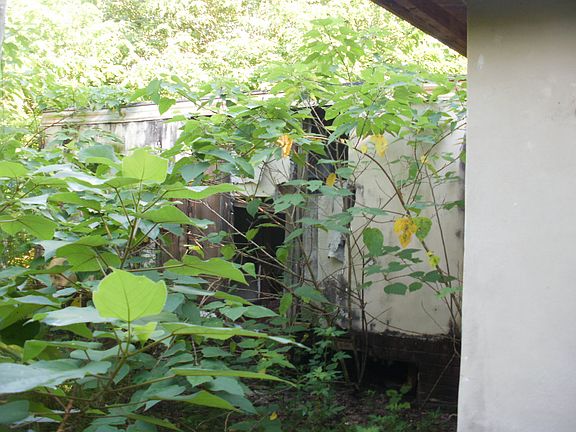3rd image of 44925 Glen Way