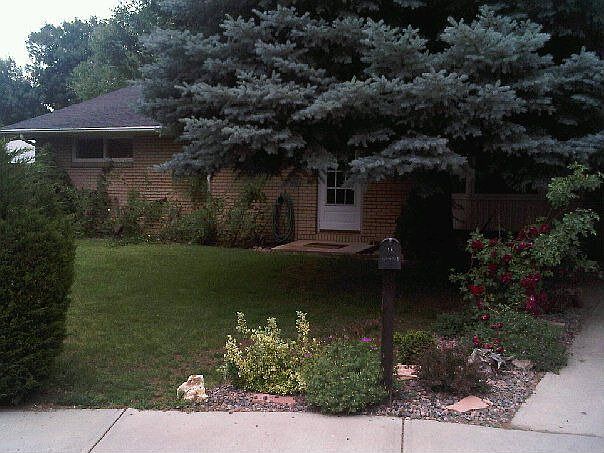 Front lawn