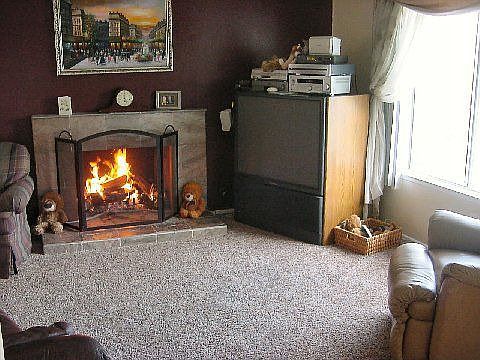 living room with slate fireplace