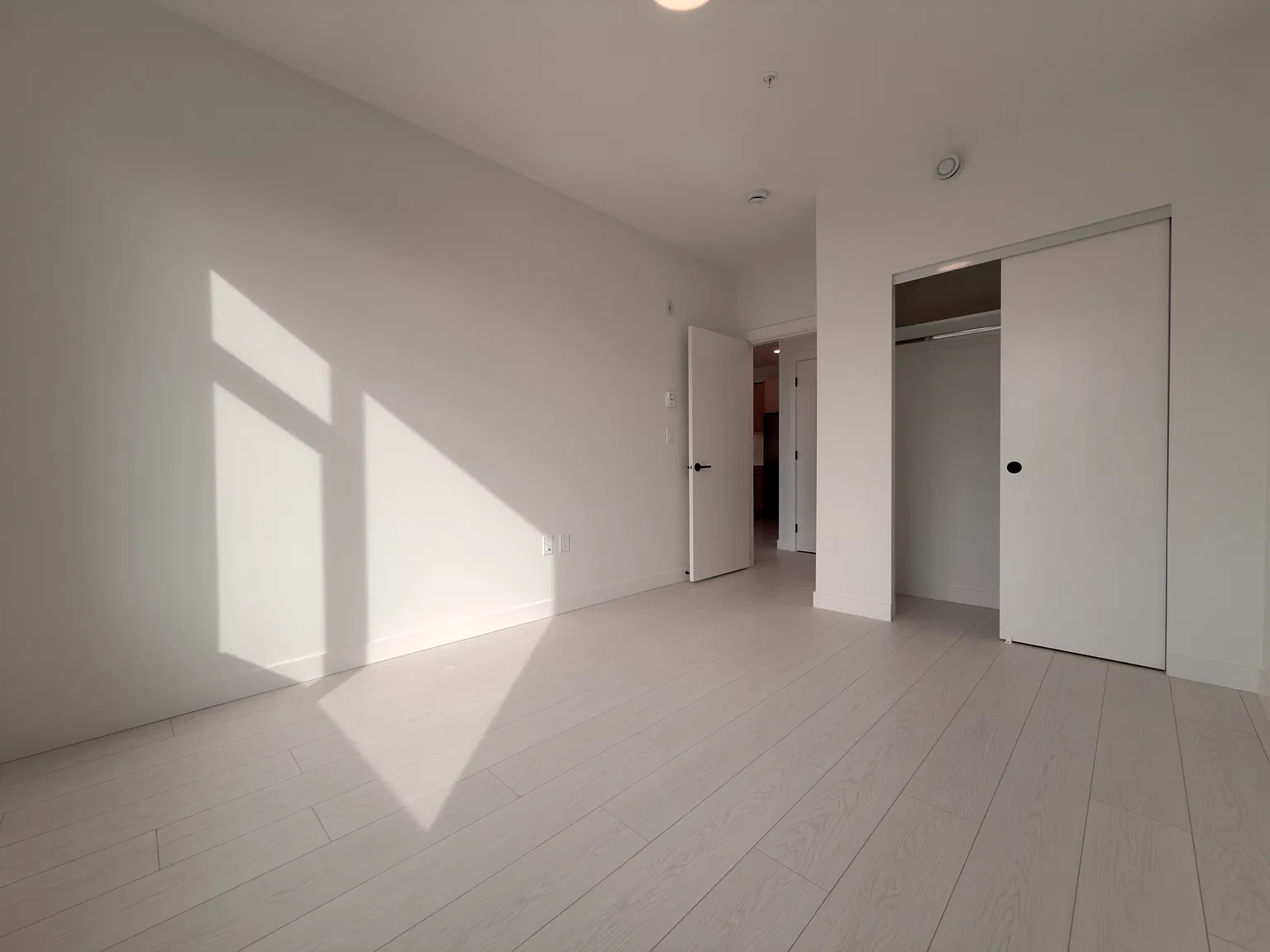 2 bed, 735 sqft, $2,150 — Photo 3