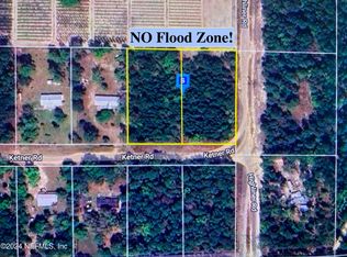 140 Highliner Rd, Crescent City, FL 32112