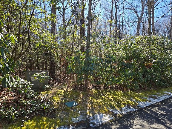 5th image of 108 Hemlock Trl