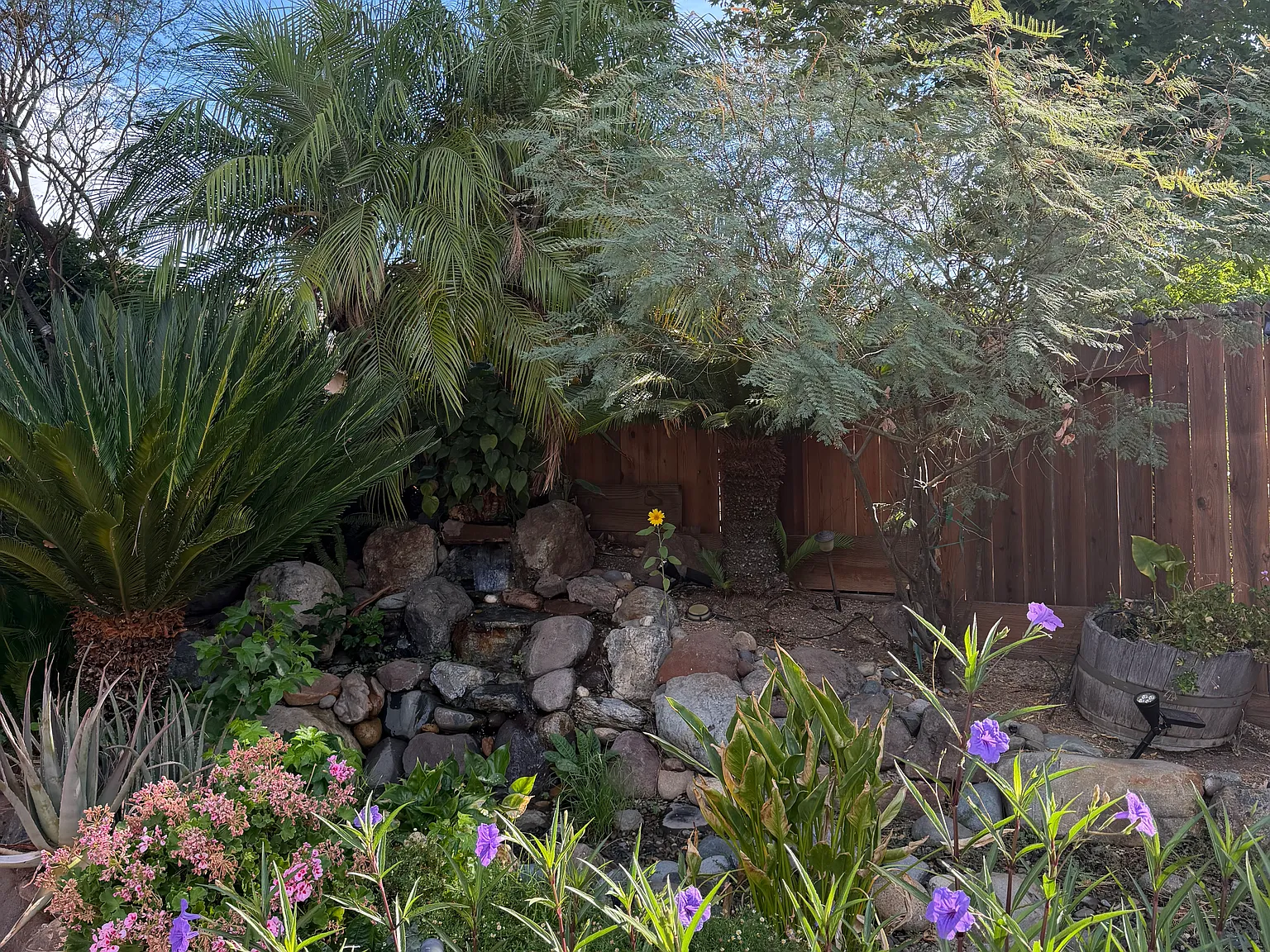 5 bed, 2564 sqft, $4,000 — Photo 2