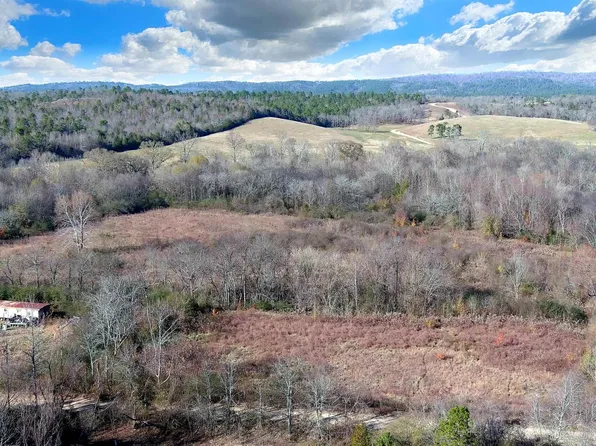 118 Peaceful Ln, Mena, AR 71953