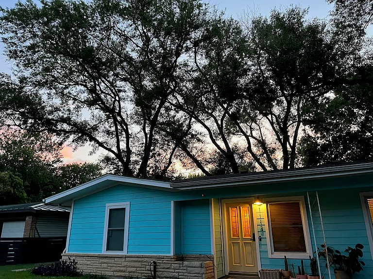 Shaded yard with 6 large trees