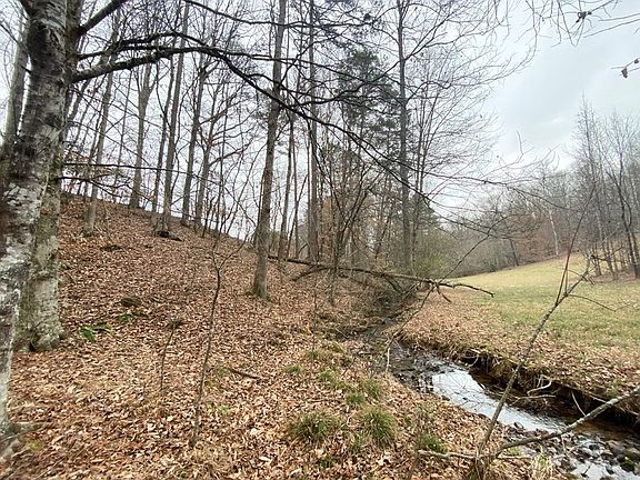 4th image of 21 Broadleaf Ln