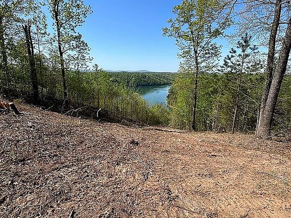 3rd image of 2040 Scenic View Ct