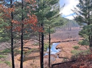 15017 Riverside Trl, Wolverine, MI 49799