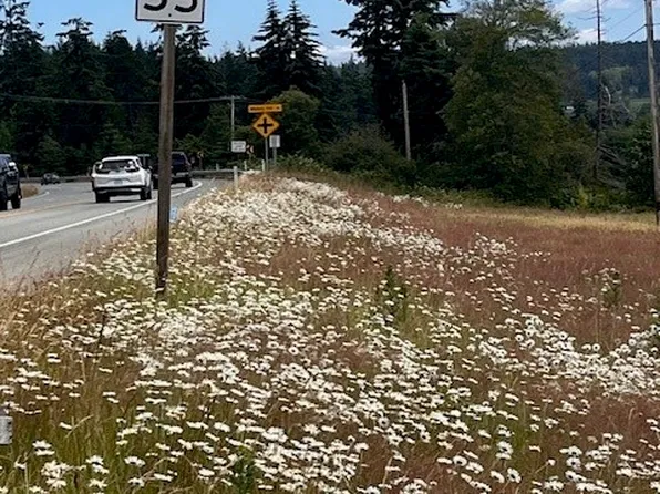 0 Highway 20, Oak Harbor, WA 98277