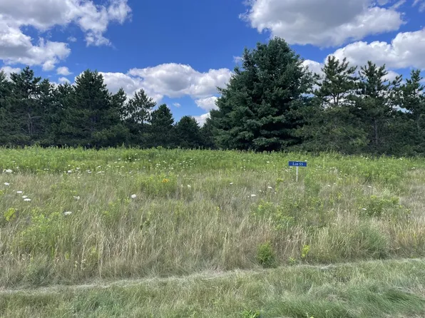 300 SPRUCE COURT #Lt55, Delafield, WI 53018