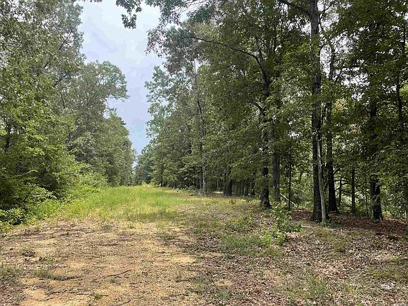 3rd image of 0 County Road 719