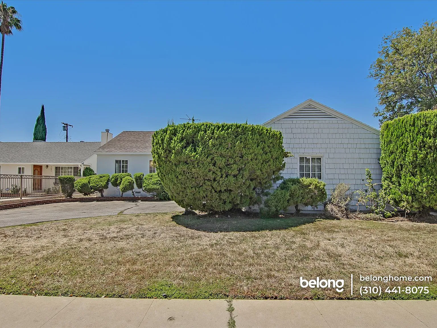3 bed, 1.0 bath, 1335 sqft, $3,555 — Photo 2