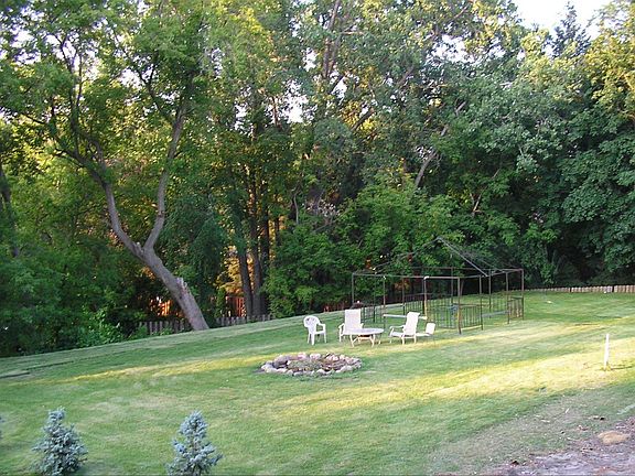 Back yard
