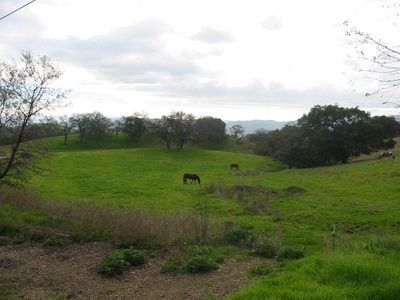 8655 Leavesley Rd, Gilroy, CA, 95020